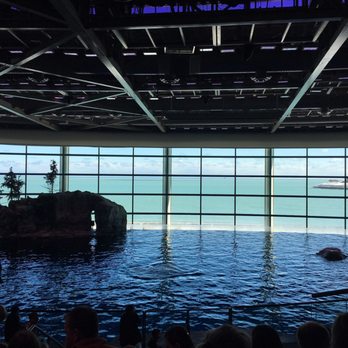 Shedd Aquarium - View of outside from the showroom. - Aquariums Near Me - Chicago, Illinois Shedd Aquarium - View of outside from the showroom. - Aquariums Near Me - Chicago, Illinois