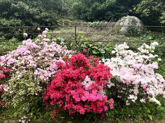 Tatsumaki Jigoku by null