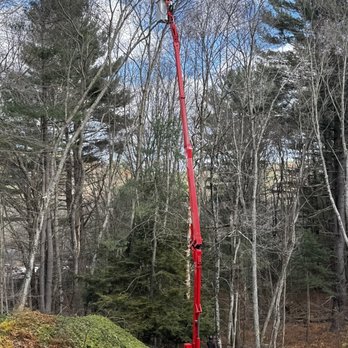 Andy's Tree Service - Tree Services Near Me Andy's Tree Service - Tree Services Near Me