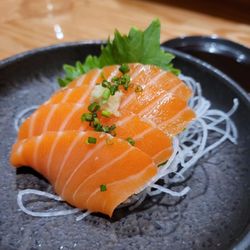 Kata Nori Hand Roll Bar - Salmon belly