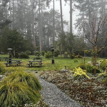 Mendocino Grove - Campgrounds Near Me - Mendocino, California Mendocino Grove - Campgrounds Near Me - Mendocino, California