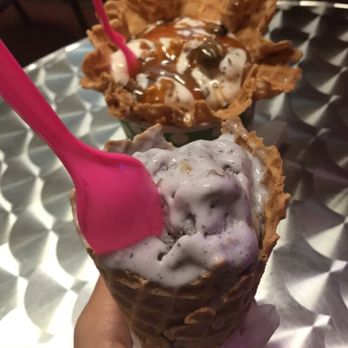 The Magic Cow - Ice Cream & Frozen Yogurt Near Me - Davie, Florida The Magic Cow - Ice Cream & Frozen Yogurt Near Me - Davie, Florida