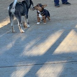 Whittier Dog Park
