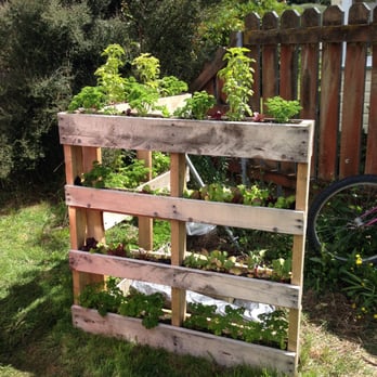 La Roulotte - Fresh herbs - Food Trucks Near Me - Te Anau, STL