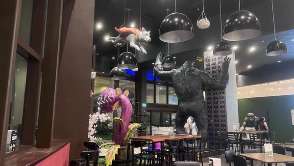 Alamo Drafthouse Cinema Naples by null