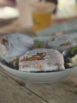 Tiny Boxwoods by null