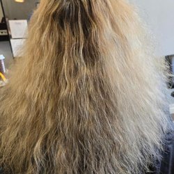 LAVISH SALON & SPA AVEDA - Before - Roots so badly needed to be done to cover up Grey.