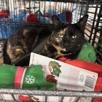 Pet Club - Mama - Pet Stores Near Me - Santa Rosa, California
