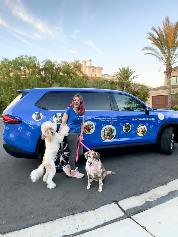 CLAREMONT TOYOTA Updated August 2024 575 Photos & 1869 Reviews