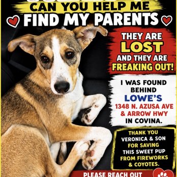 Lowe's Home Improvement - Please help me find my parents. Thank you. - Home Decor Near Me - Covina, California Lowe's Home Improvement - Please help me find my parents. Thank you. - Home Decor Near Me - Covina, California