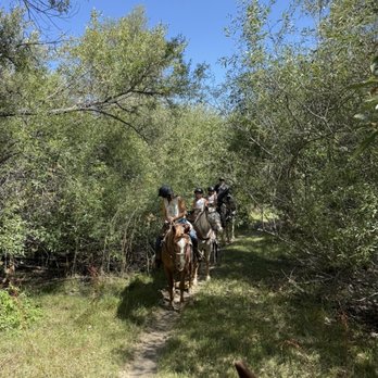 Central Coast Trailrides - Horseback Riding Near Me Central Coast Trailrides - Horseback Riding Near Me
