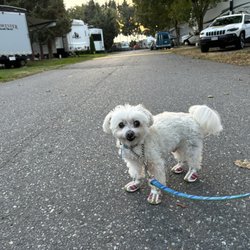 Peace Arch RV Park