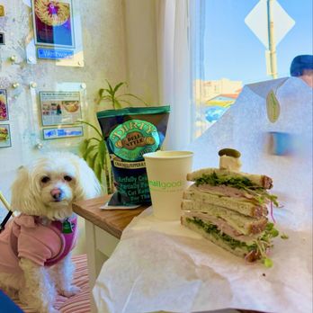 Smallgoods Cheese Shop & Cafe - With Fendi at Small Goods, Cali cheese and turkey sando, 'Dirty' chips and H20 - Cheese Shops Near Me - La Jolla, California Smallgoods Cheese Shop & Cafe - With Fendi at Small Goods, Cali cheese and turkey sando, 'Dirty' chips and H20 - Cheese Shops Near Me - La Jolla, California