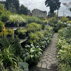 Matera Garden & Nursery Center