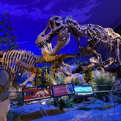 The Children's Museum of Indianapolis by null