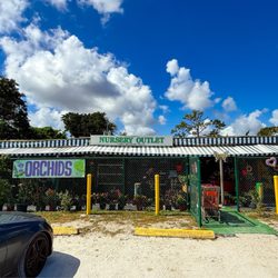 Pineland's Nursery