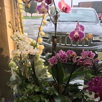 Della's Maple Lane Florist - Florists Near Me - Troy, Michigan Della's Maple Lane Florist - Florists Near Me - Troy, Michigan