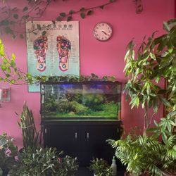 LH Foot Massage - Relaxing fish tank