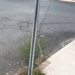 Connecticut Transit - The worst walnut driver in the morning