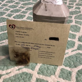 Paw Print Gardens - Tigger's ashes, fur and cremation certificate - Pet Cremation Services Near Me - West Chicago, Illinois Paw Print Gardens - Tigger's ashes, fur and cremation certificate - Pet Cremation Services Near Me - West Chicago, Illinois