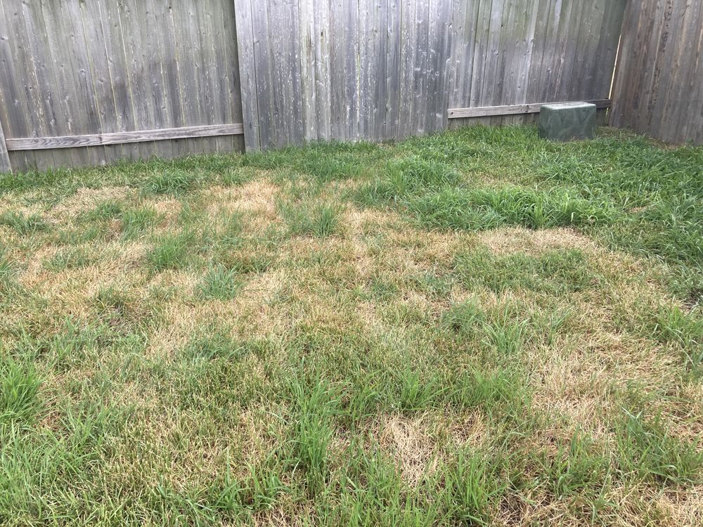 Slide of Lieder Landscapes