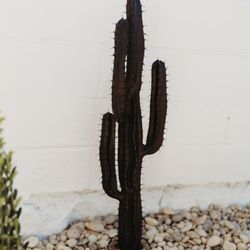 Black Cactus Body Bar