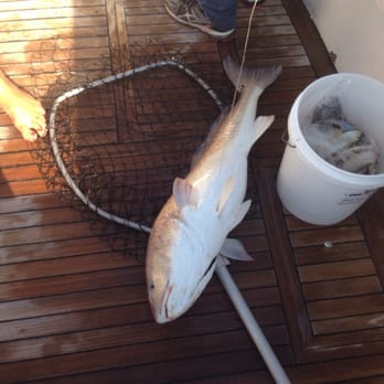 Tallboy Fishing Charters - Fishing Near Me - Port Royal, South Carolina Tallboy Fishing Charters - Fishing Near Me - Port Royal, South Carolina