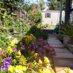 Chase Pacific Property Management Services - Our beautiful yard when we lived there