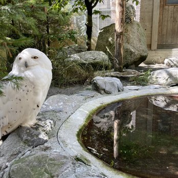 Wildpark Brienz - Petting Zoos Near Me - Brienz, BE