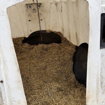 Triple C Farm - Farms Near Me - Ancaster, Ontario Triple C Farm - Farms Near Me - Ancaster, Ontario