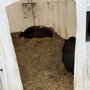Photo of Triple C Farm