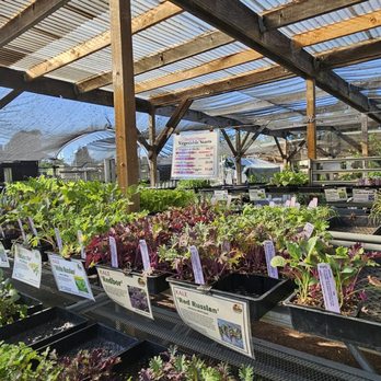 HARMONY FARM SUPPLY & NURSERY - Updated June 2026 - 60 Photos & 102 Reviews  - 3244 Gravenstein Hwy N, Sebastopol, California - Nurseries & Gardening -  Phone Number - Yelp