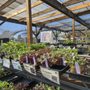 Photo of Harmony Farm Supply & Nursery
