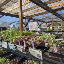 Harmony Farm Supply & Nursery