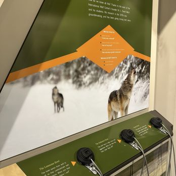 International Wolf Center - You can hear the howls - Zoos Near Me - Ely, Minnesota International Wolf Center - You can hear the howls - Zoos Near Me - Ely, Minnesota
