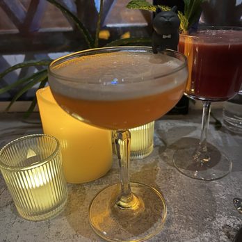 Providencia - Curiosity mato el gato cocktail - Bars Near Me - Washington, DC, District of Columbia