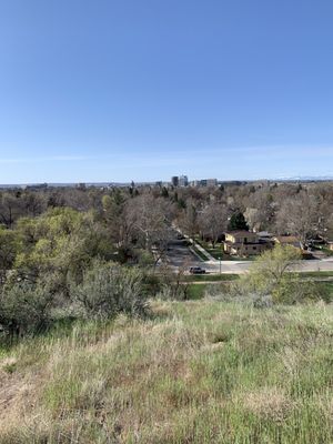 Camel’s Back Park by null