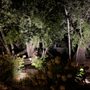 Photo of Illumine Landscape Lighting