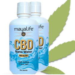 GAB - HEMP EXTRACT NANO WATER