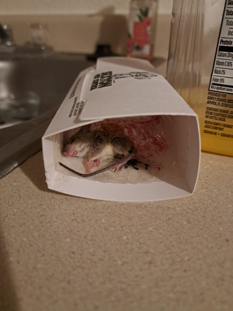 CentrePoint Apartments - property management company in Tucson, AZ