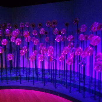Van Gogh Museum - Stylized Purple-Hued Color-Changing Luminescent Sunflowers on Display - Museums Near Me - Amsterdam, New Hampshire