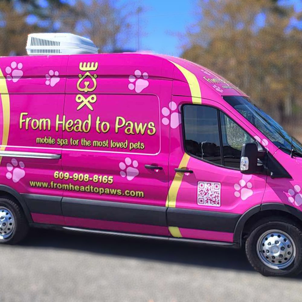 Grooming Services Cat Grooming Pink Paws Mobile Dog Grooming