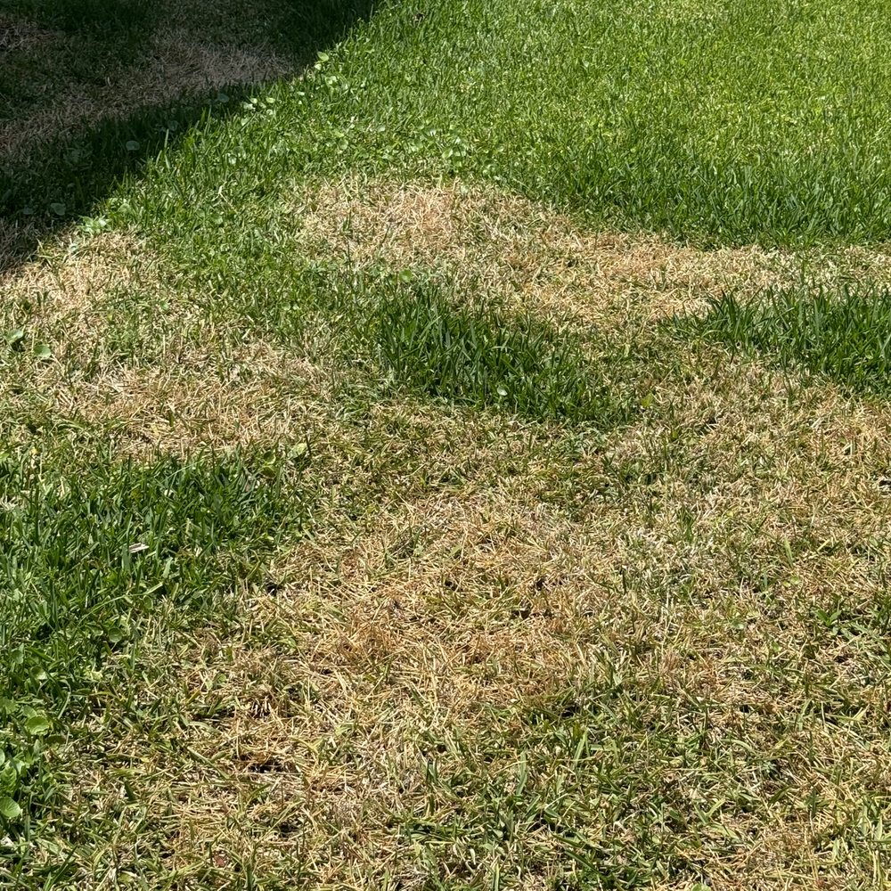 Always Right Lawn Care - Damage that was promised to be corrected but never was. - Lawn Services Near Me Always Right Lawn Care - Damage that was promised to be corrected but never was. - Lawn Services Near Me