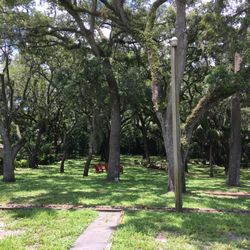 Nature's Oak Counseling - Retreat Setting