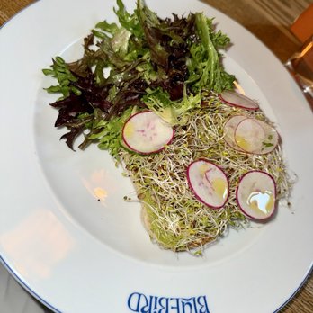 Bluebird - Avocado Toast - Steakhouses Near Me - Banff, Alberta Bluebird - Avocado Toast - Steakhouses Near Me - Banff, Alberta