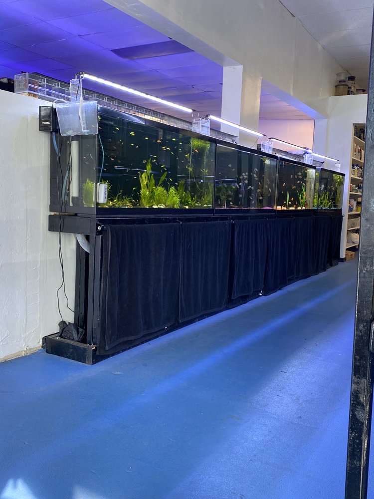 LIVING REEF AQUARIUMS 53 Photos & 12 Reviews 4832 N Dixie Hwy