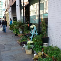 That Flower Shop
