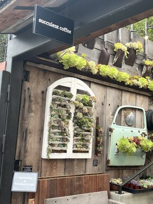 Succulent Coffee by null