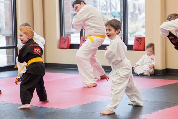 Dojo Karate - Monticello Logo