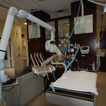 Oak Forest Veterinary Hospital - Dental Wet Tables and Digital Dental Radiology - Veterinarians Near Me - Houston, Texas Oak Forest Veterinary Hospital - Dental Wet Tables and Digital Dental Radiology - Veterinarians Near Me - Houston, Texas